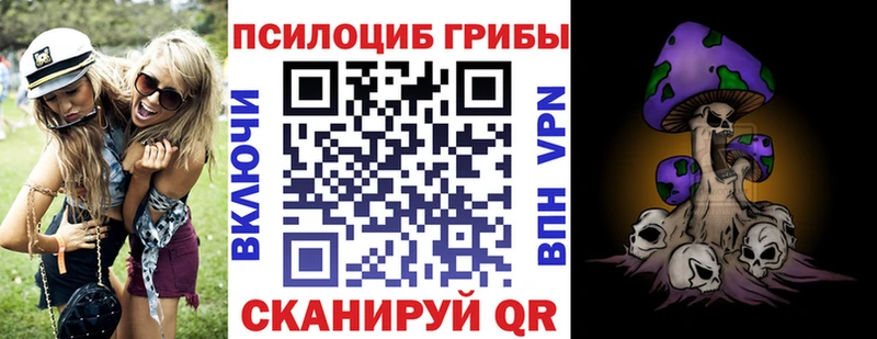 Купить где  Котово  Псилоцибиновые грибы Psilocybe 