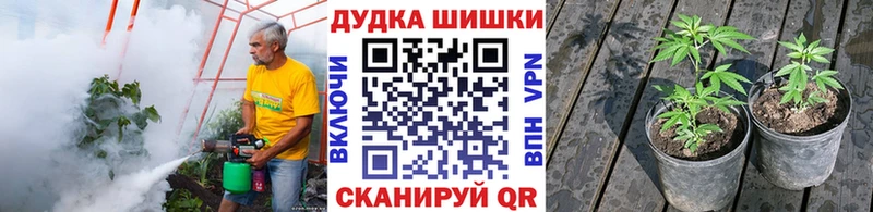Бошки марихуана индика  Купить закладки  Котово 